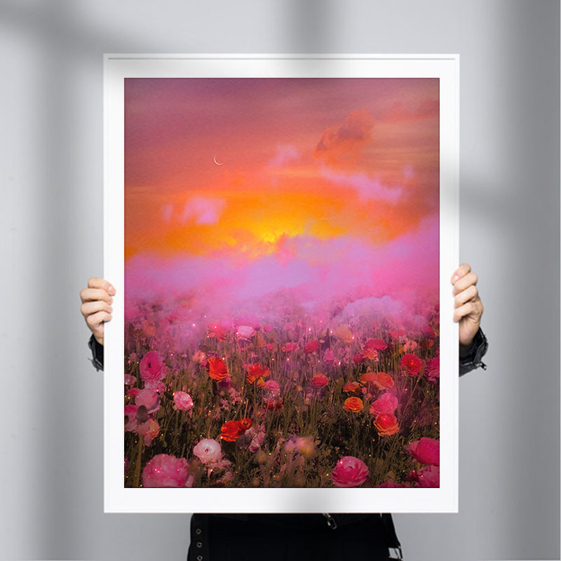 Floral Dreams